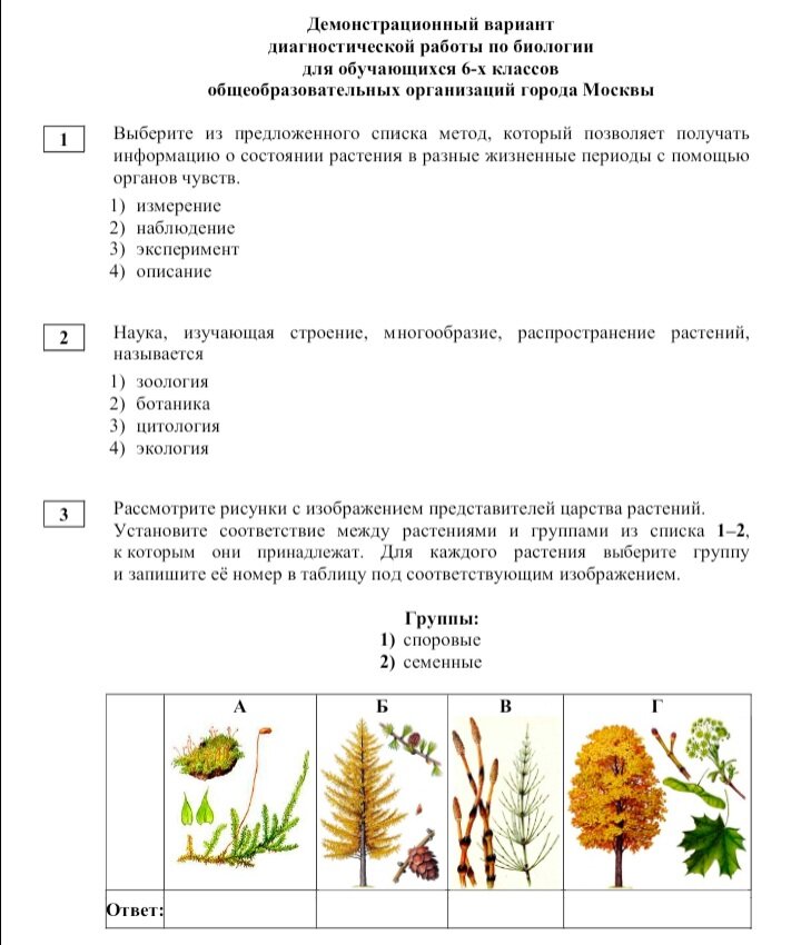 План конспект по биологии 6 класс