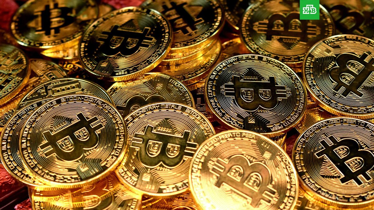    Фото: Kanchanara / unsplash.com