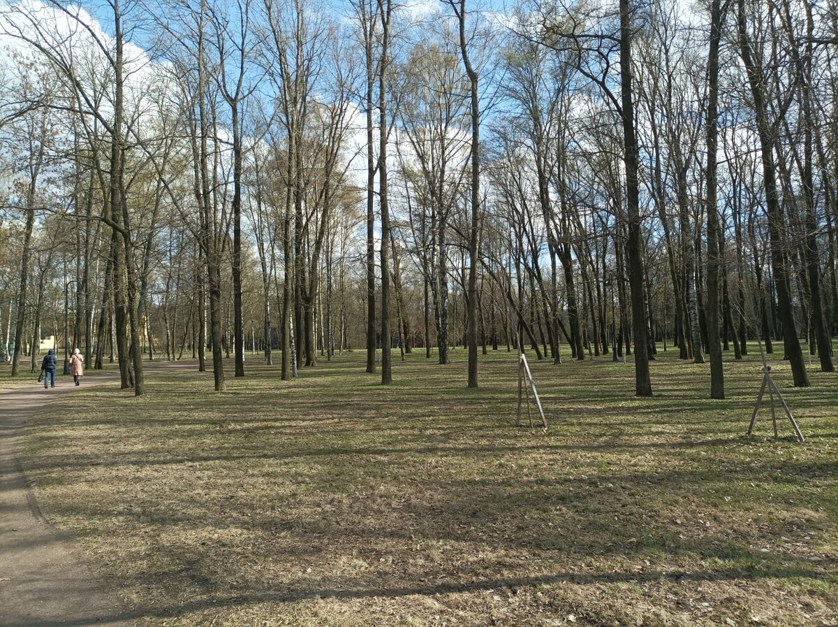 Астрологические тенденции марта 2024 года