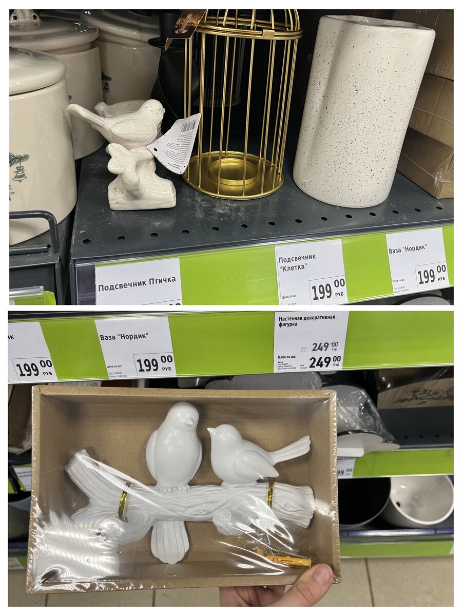 Много разных птичек. 😍