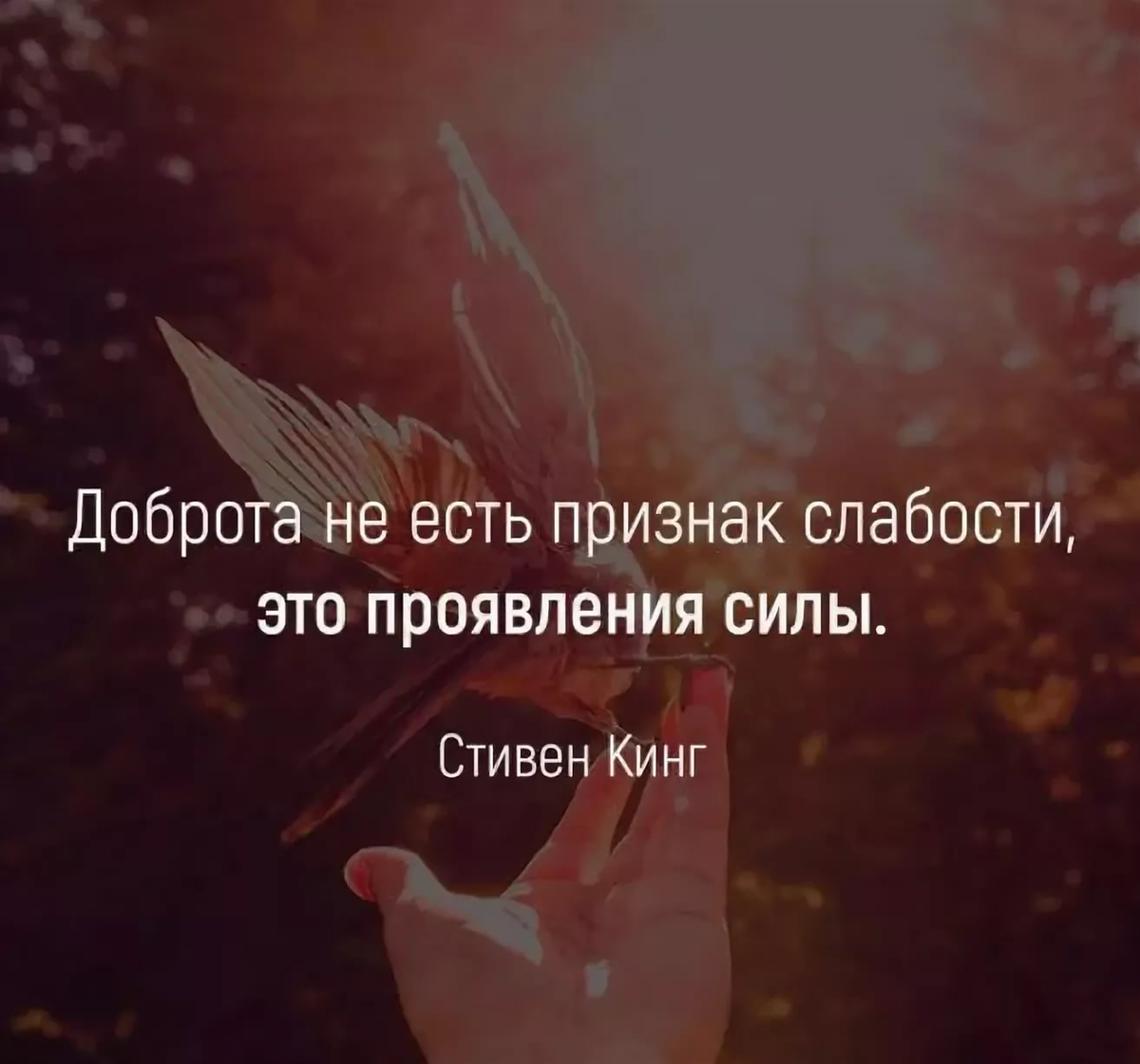 Мудр добр был и. Цитаты про доброту. Афоризмы про добро. Афоризмы о доброте. Высказывания о добре.