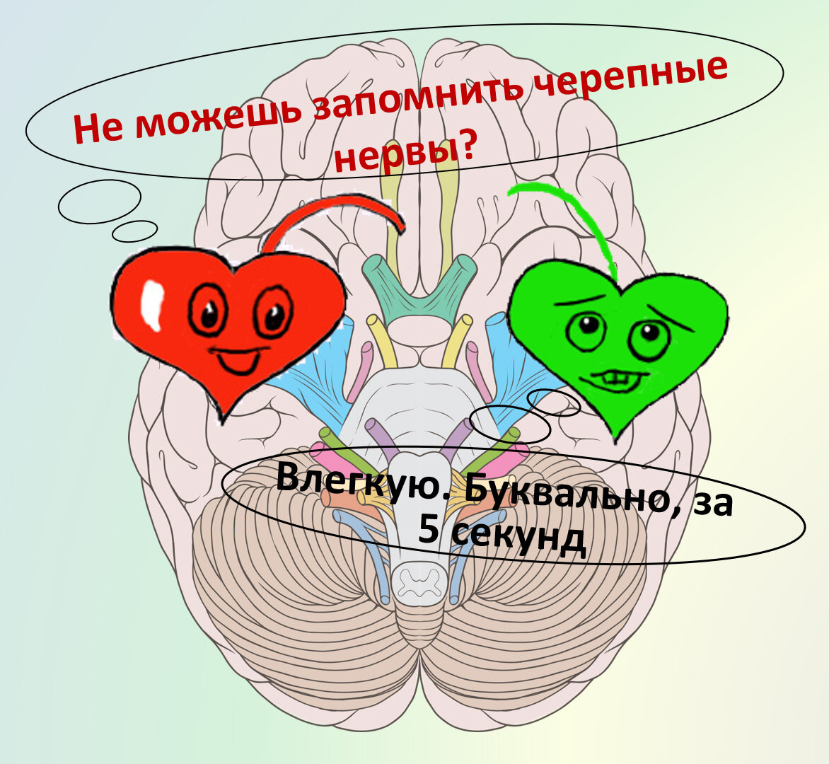 Несколько мнемонических правил