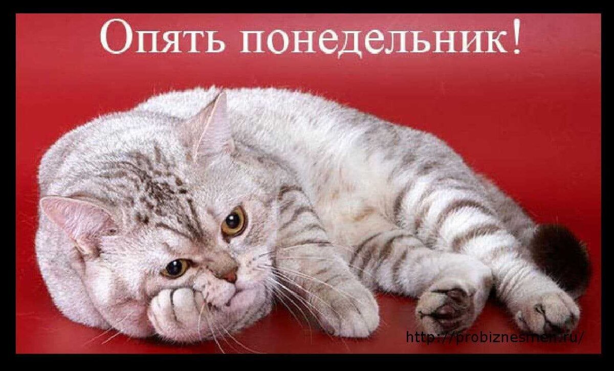 Источник Google картинки 