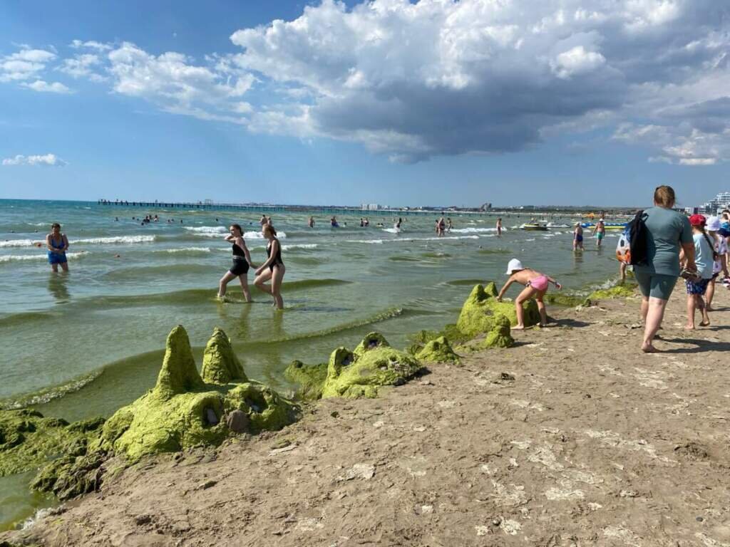 Цветение моря Витязево Анапа. Камка в Анапе. Джемете море цветет. Камка водоросли в Анапе.