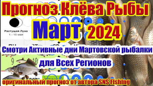 Клев рыбы. Прогноз клева рыбы в старом. Клёв рыбы по фазам луны на 2022 год. Календарь клева. Прогноз клева рыбы в старом.