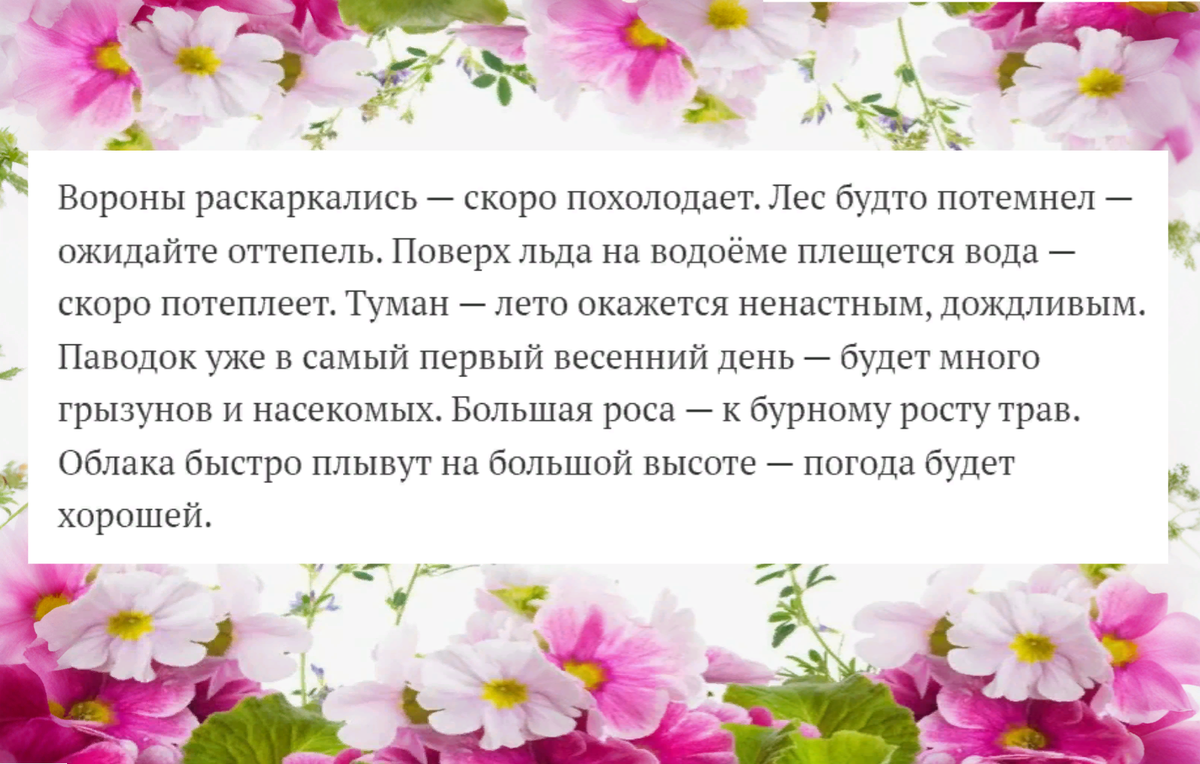 1 марта. Весна. Начало. Ярилин День. Приметы. Проверяем) | МИШКА НА ДЕРЕВЕ  | Дзен