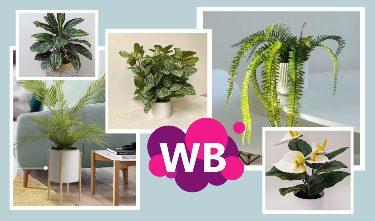 Все просят «детку», а они искусственные. Подборка интерьерных цветов с Wildberries