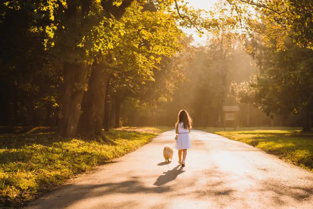 выражения про путешествия. вдохновлять на путешествия. новых свершений и достижений. картинки с высказываниями о путешествиях. путешествия картинки.