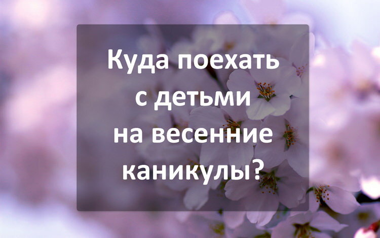 Куда поехать с детьми на 1 день. Интересные экскурсии в подмосковье. Куда можно поехать с семьей. Куда поехать с детьми на 1 день. Лето отпуск море семья.