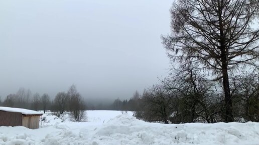 КОГО РОДИЛА? ПОПОЛНЕНИЕ НА ХУТОРЕ! КУПИЛИ ДОМ В ДЕРЕВНЕ!