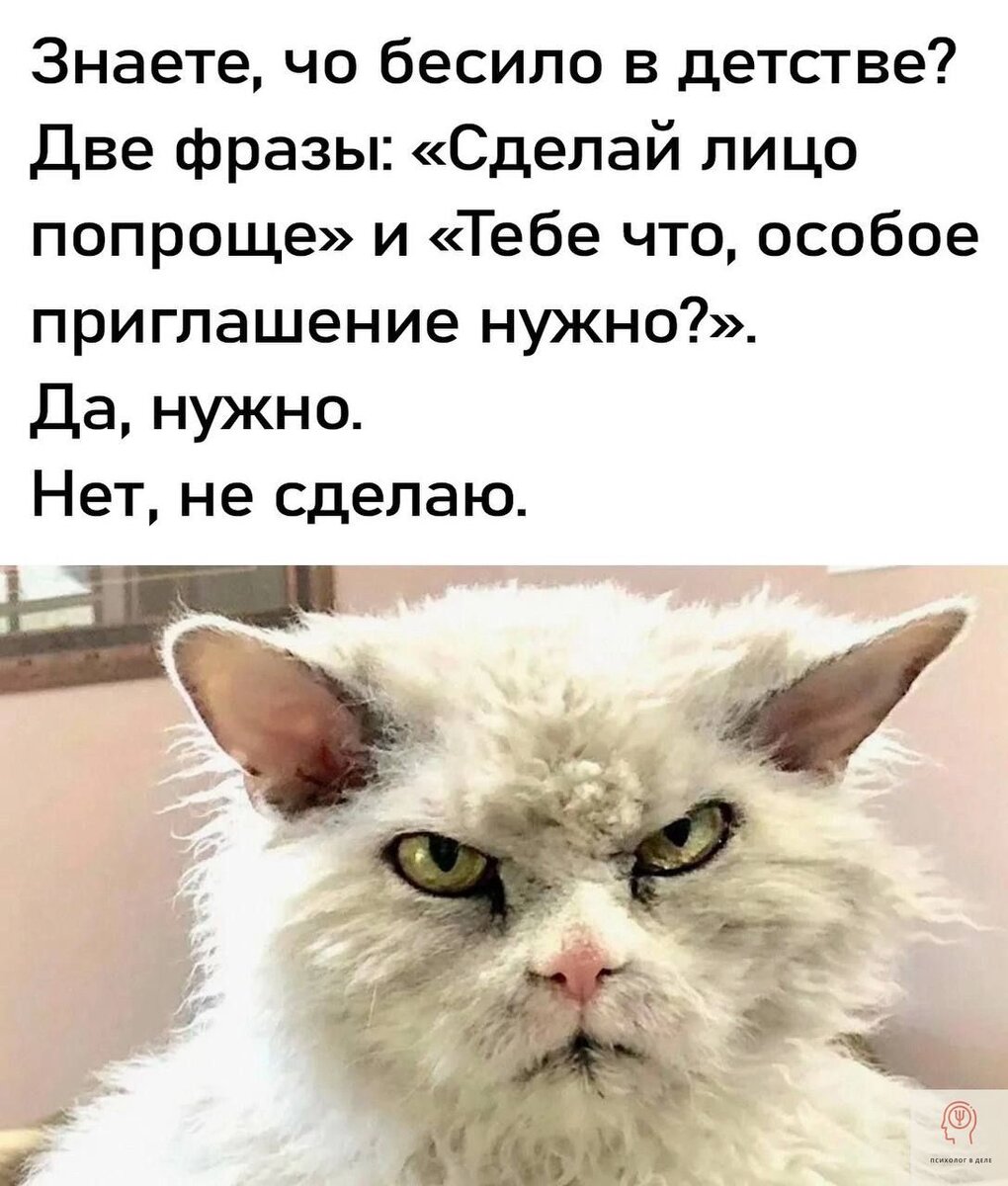 Психологи смеются»: тонкий юмор на тему психологии и не только | Психолог в  деле | Дзен