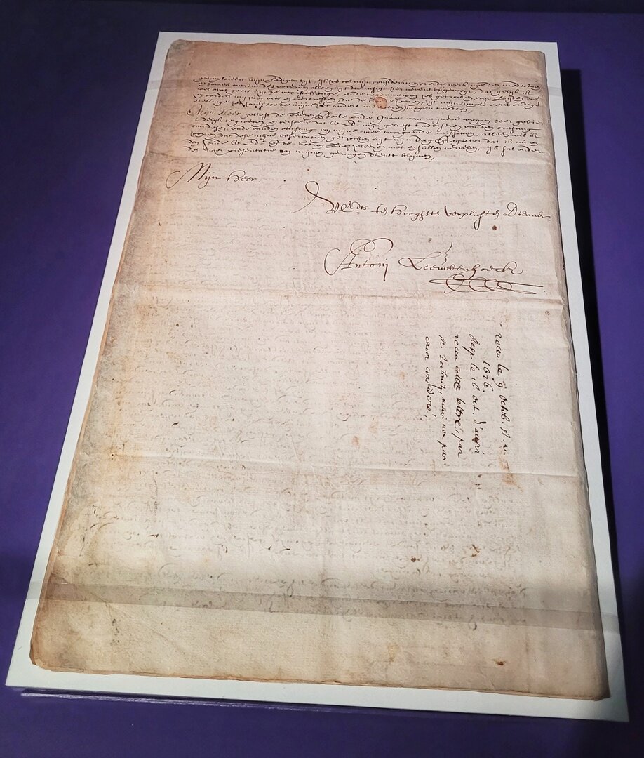 В  этом письме королевскому обшеству, он описывает как обнаружил маленьких  животных в дождевой воде, в которой вымочил черный перец.