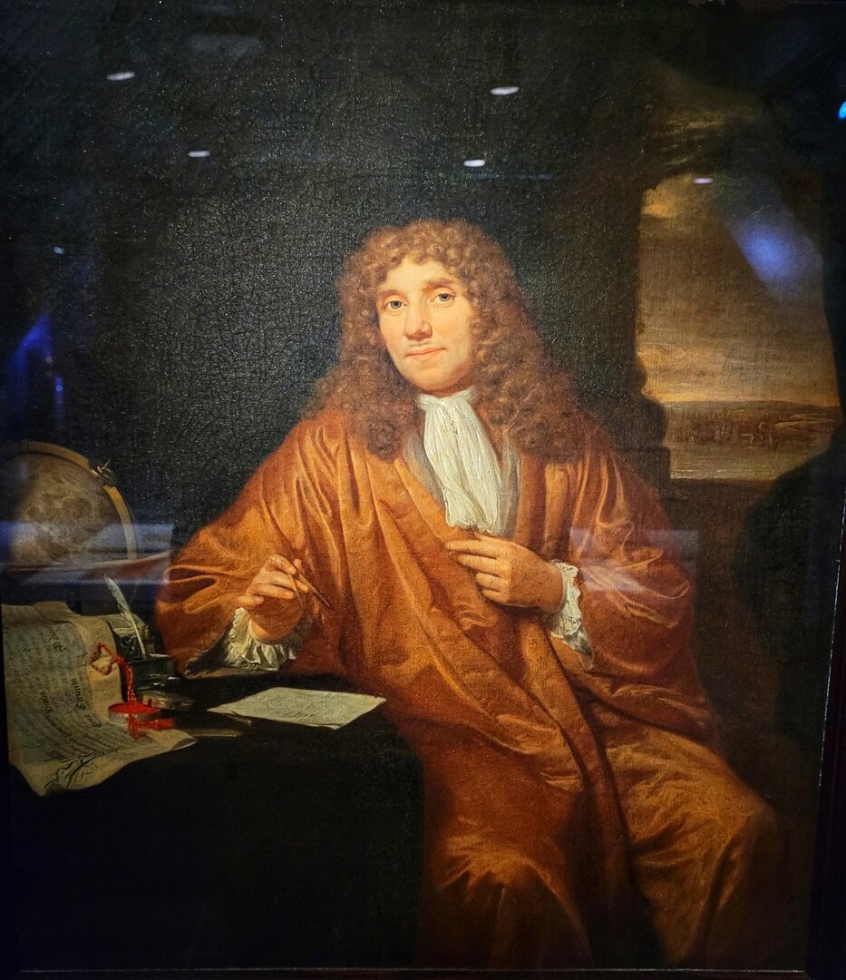 Этот  портрет написан сразу после принятия Левенгука в члены общества. Ян  Верколе изобразил Левенкуга, как состоявшегося ученого и человек,  пользующийся большим уважением. Сертификат о принятии лежит на самом  видном месте.