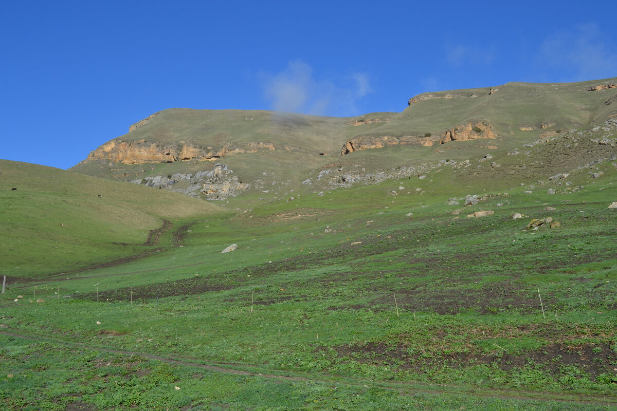 Луга. ЛИСТАЙТЕ ФОТО ---> далее