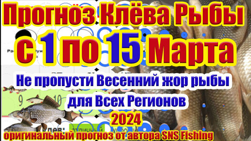 Клев рыбы. Рыболов прогноз клева. Календарь рыбака. Рыболов прогноз клева. Лунный календарь рыболова на 2020 год.