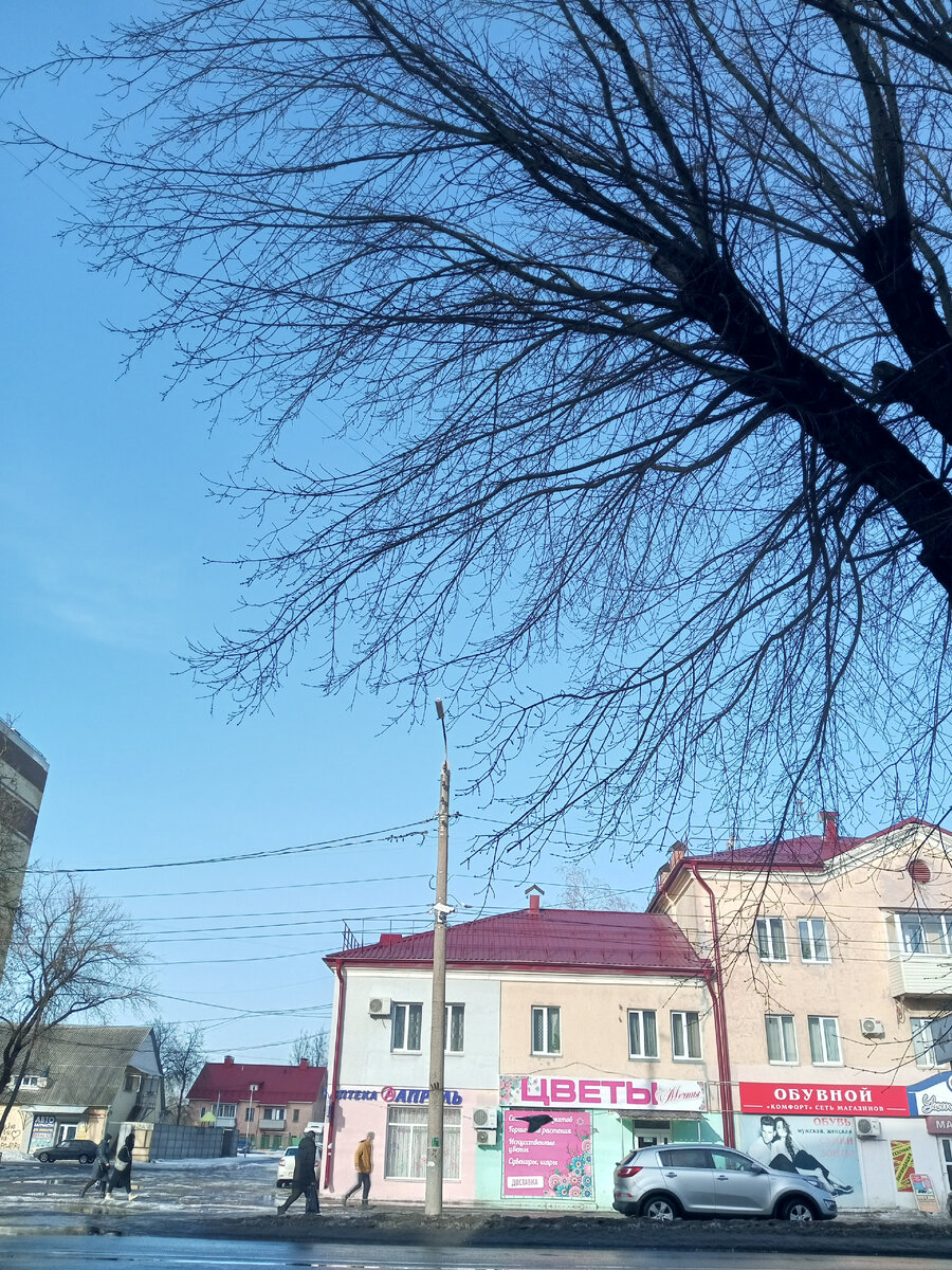 Ясное небо 