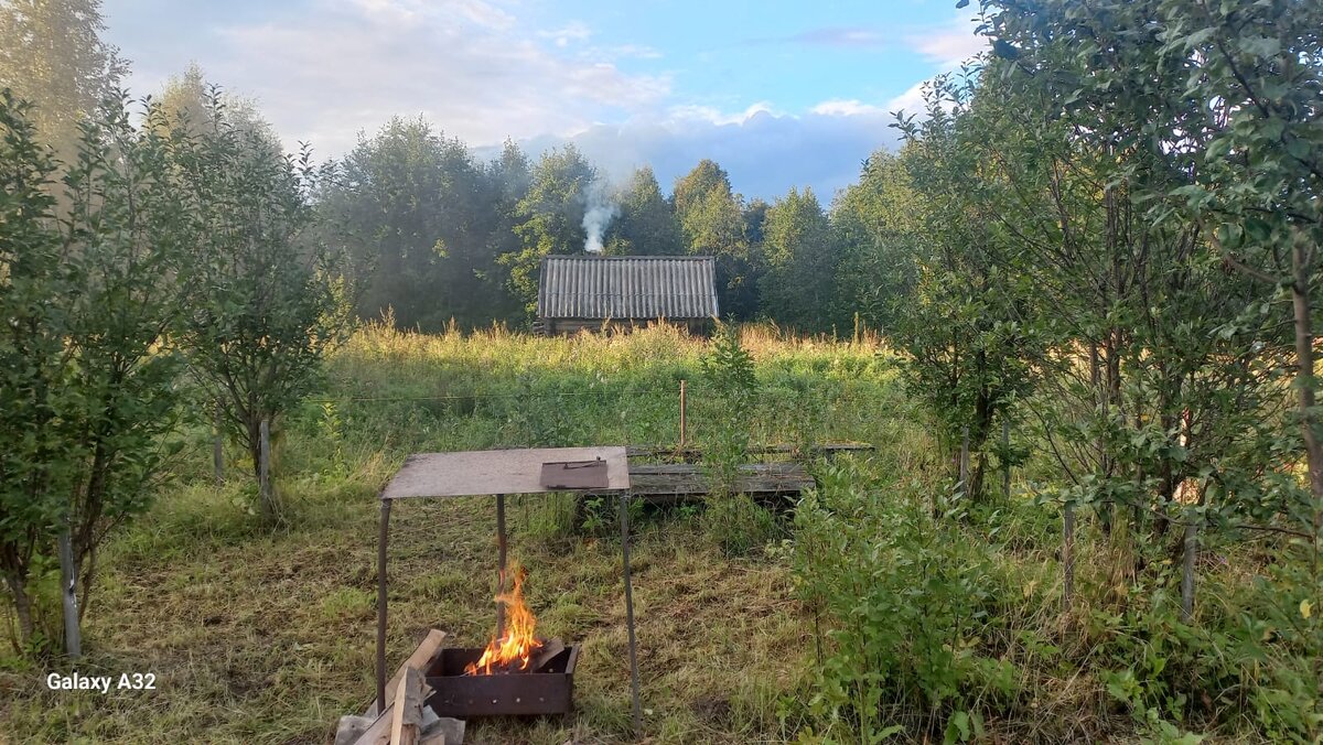 Мангал в вишневом саду