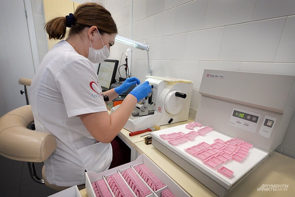    Фото:  АиФ/ Эдуард Кудрявицкий