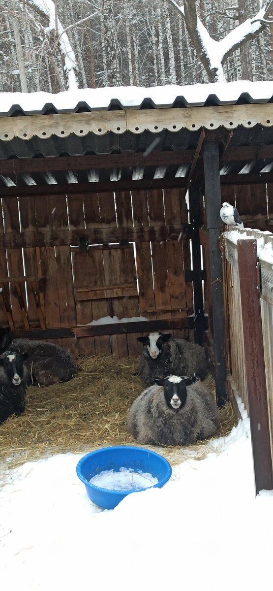 Просто отдыхают