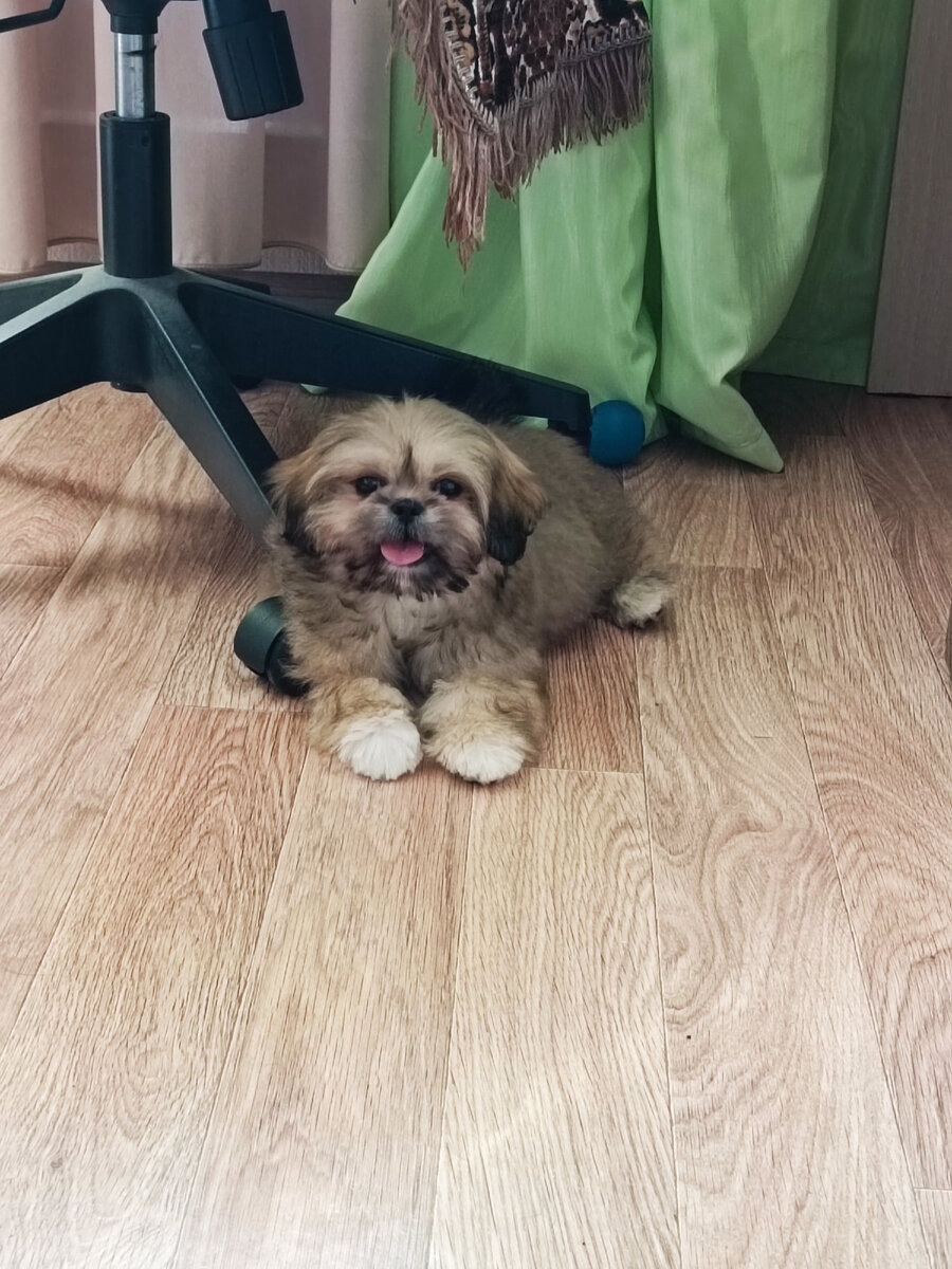 Первые фотографии: второй день дома) 