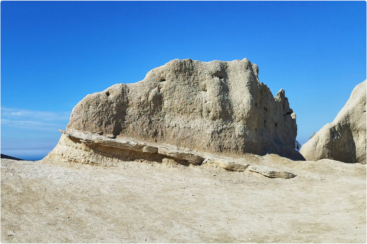 Ласточкины гнезда» (24 февраля 2024)