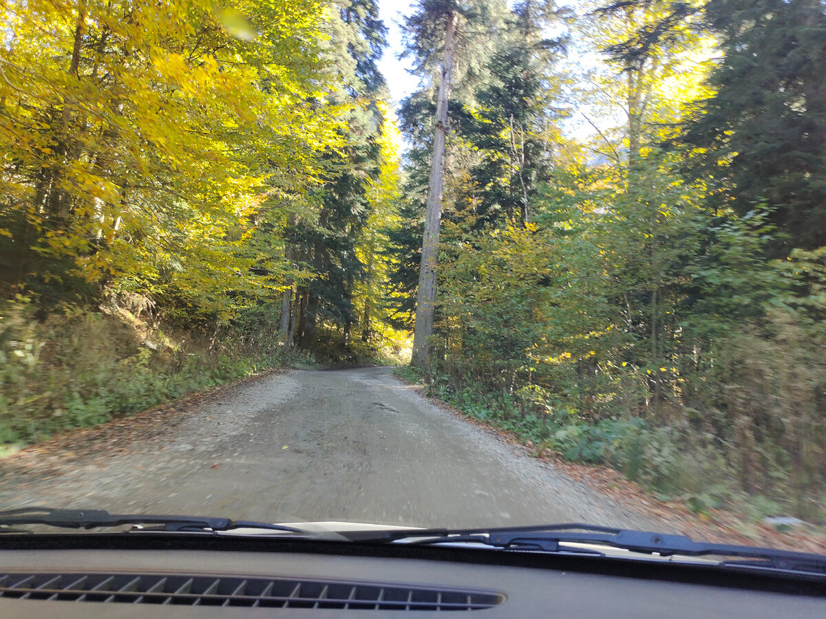 Вперед к Русской поляне!