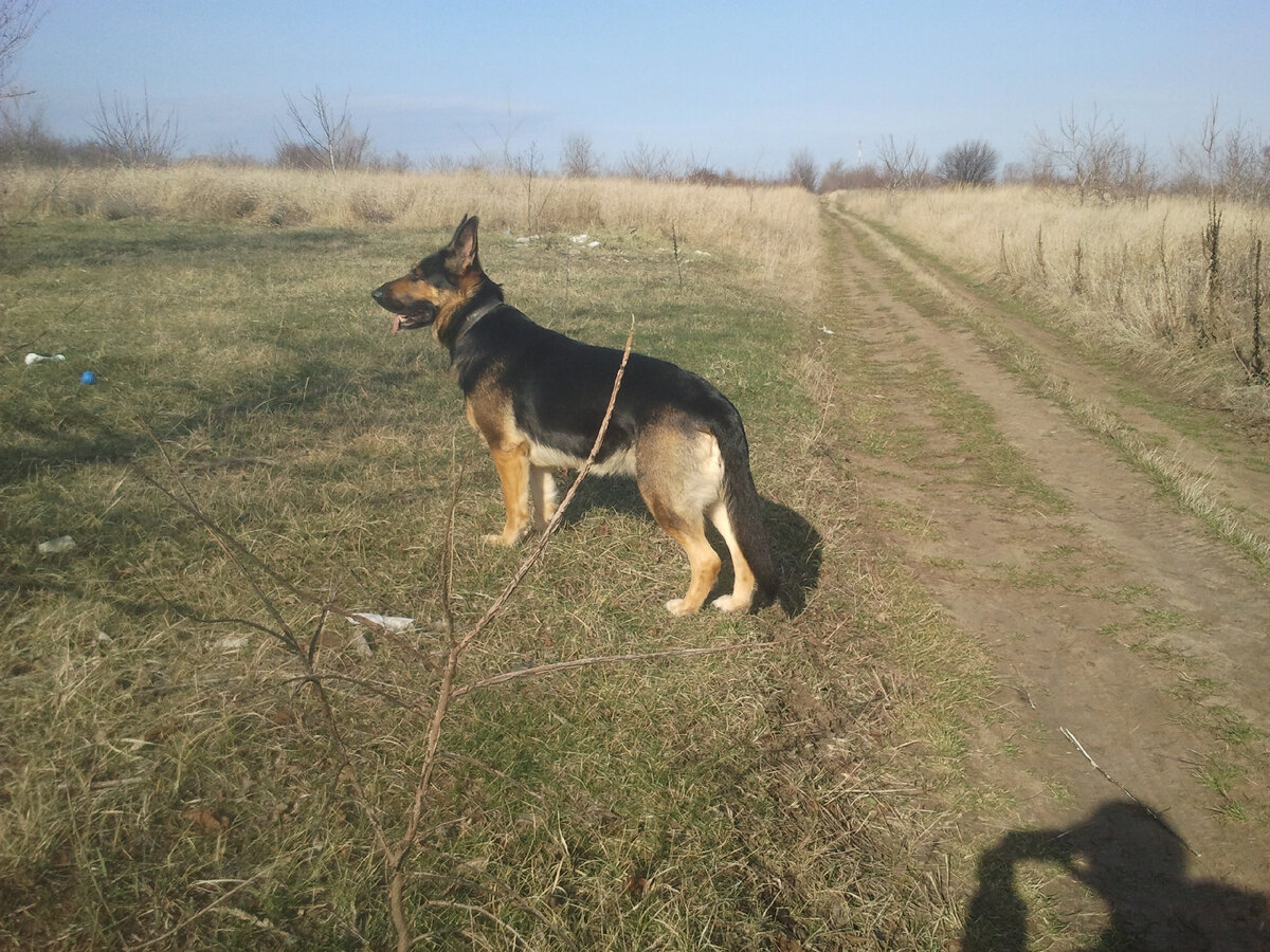 Фото автора