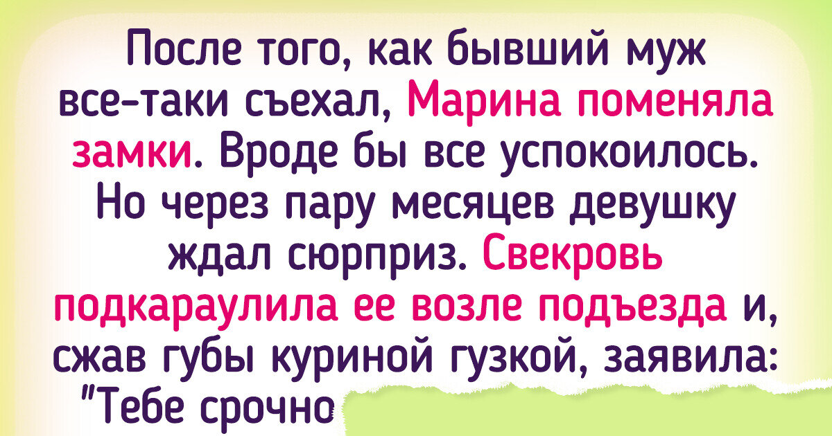 Пропала кошка: что делать, если потерялась кошка? | Royal Canin