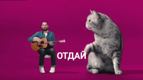 Ну отдай, Сёма, хватит позориться. 