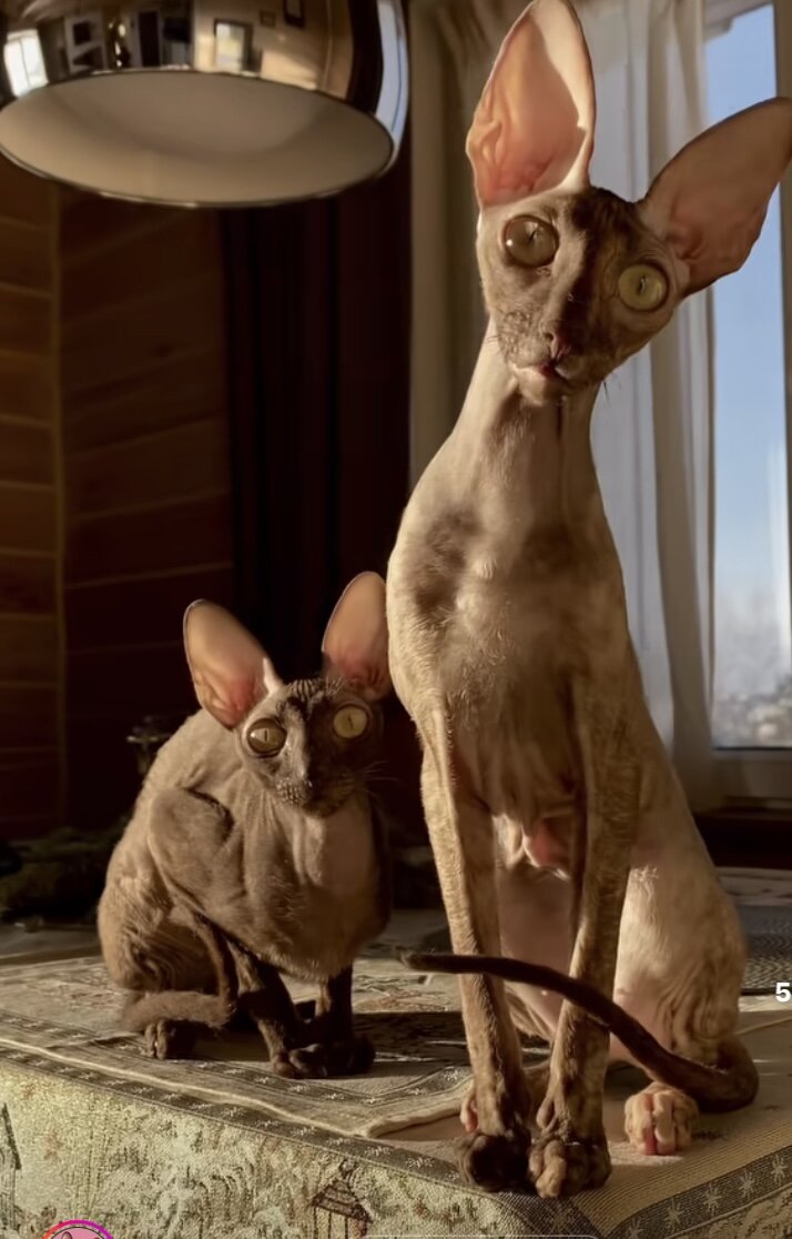 Расскажите, обсудим)))