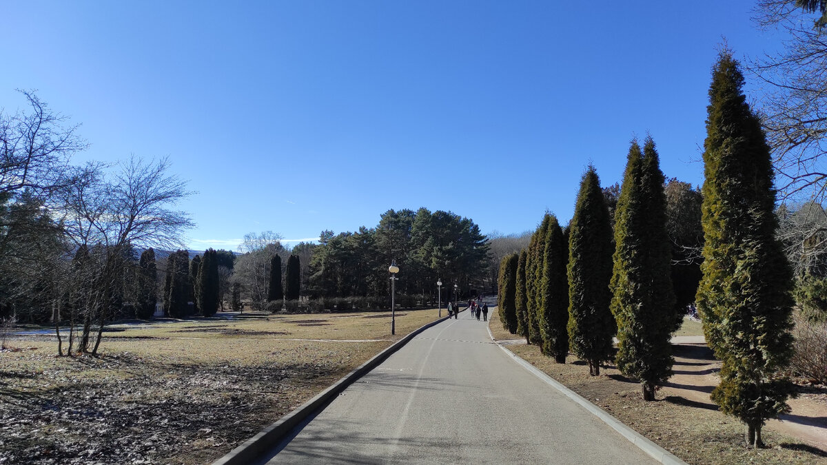 Туи в Долине роз. Остатки снега на теневой стороне. Фото: Кирилл Полиенко/Polienko: путешествуем вдвоём