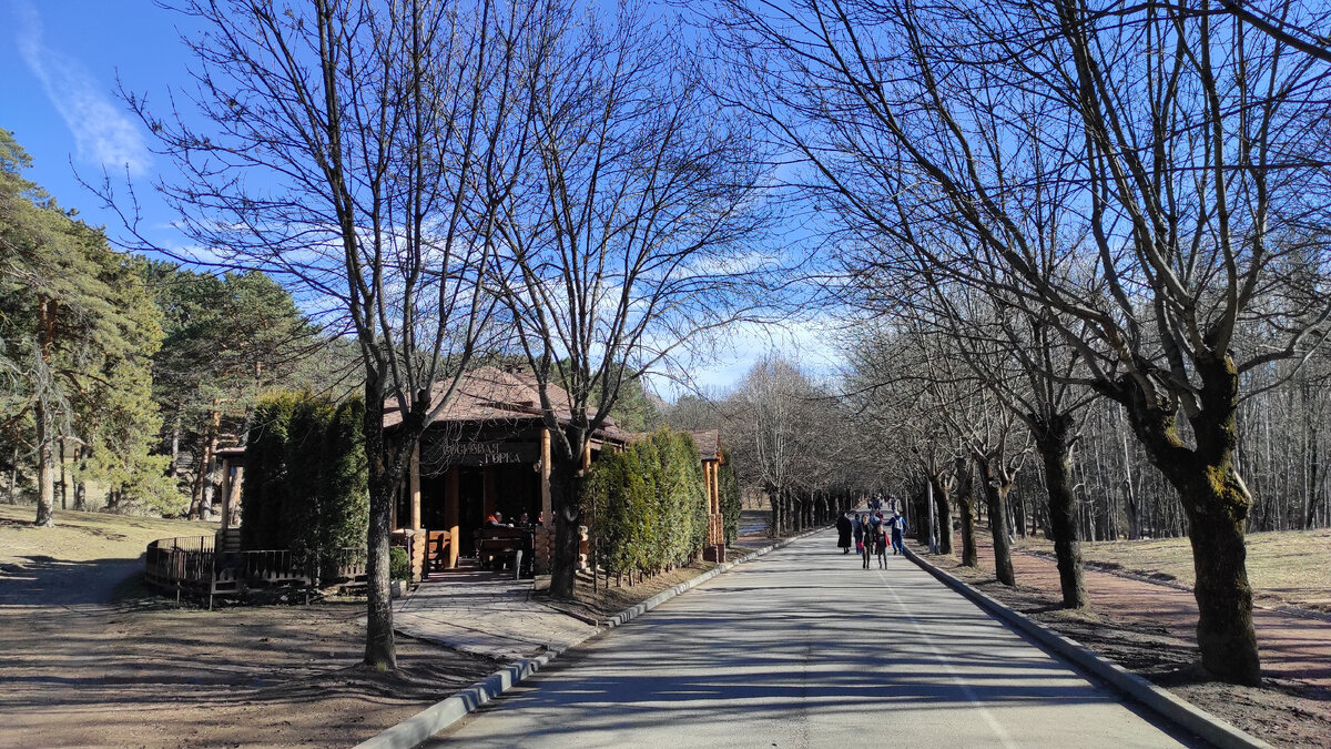 Кисловодск, 10 февраля. Даже не верится, что это зима. Фото: Кирилл Полиенко/Polienko: путешествуем вдвоём