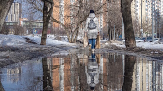    В Москве вторые сутки подряд обновляется температурный максимум зимы Роман Захаров