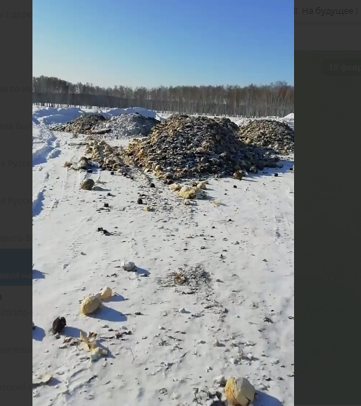 СКРИНШОТ ВИДЕО/ПРЕДОСТАВЛЕНО САЙТУ ЦАРЬГРАД.