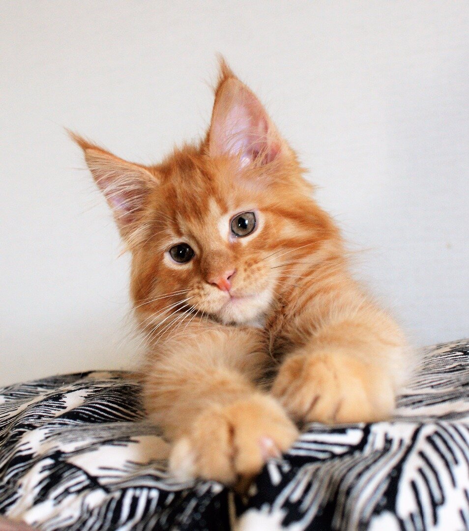 Фото из личного архива.