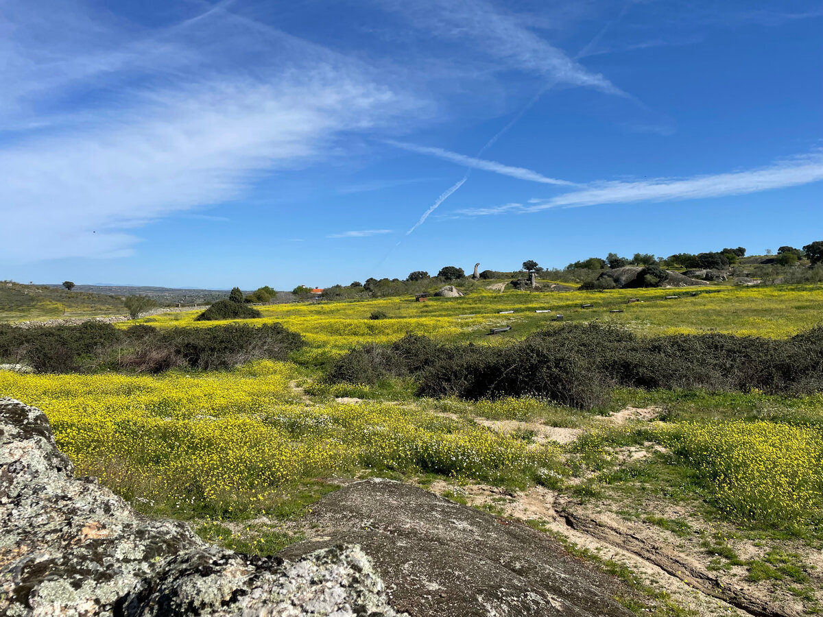 Пейзажи Экстремадуры