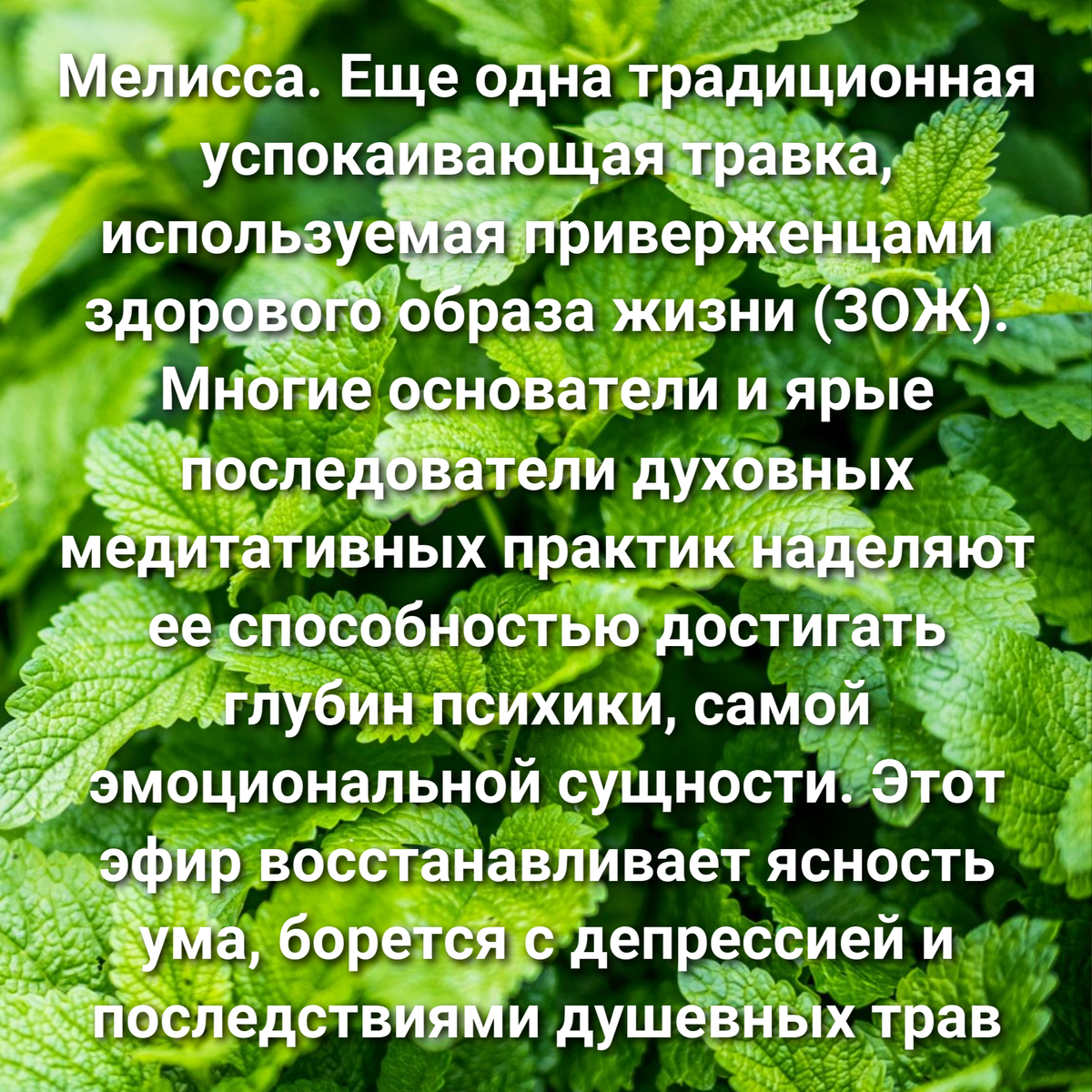 Как юмор влияет на настроение людей устное. Эмоции клиента. Эмоциональные перепады. Эмоциональное воздействие цвета. Факторы влияющие на настроение.