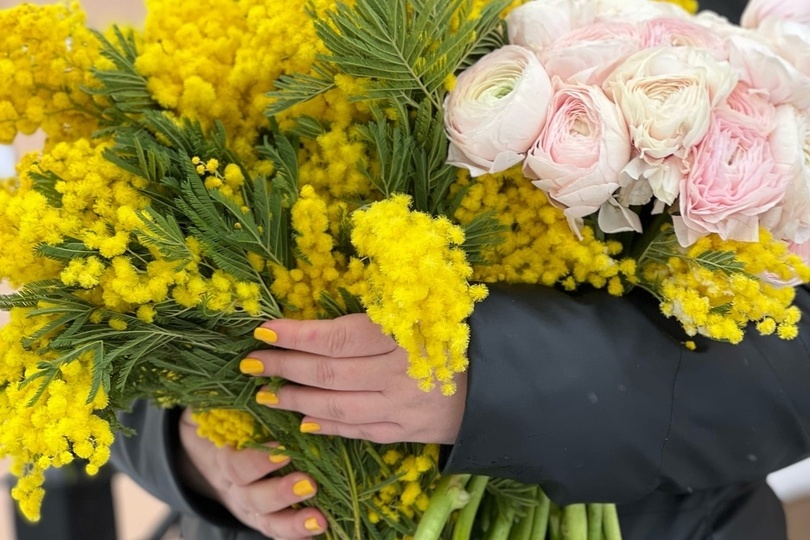 Почему мимоза быстро засыхает