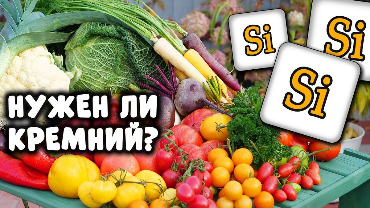 https://akrasdia.ru/foto/urozhaj-na-stole-s-dekabrevym-i-rykalinoj-80-foto.html
