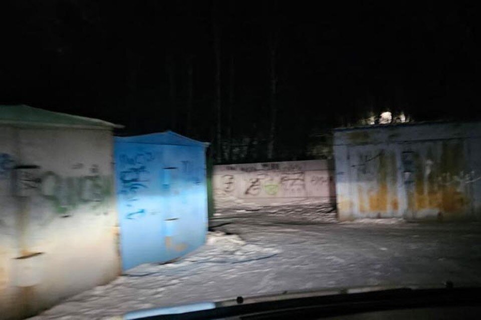    Родители обратились к волонтерам примерно в 0:00. Фото: предоставлено Татьяной Шалашовой.