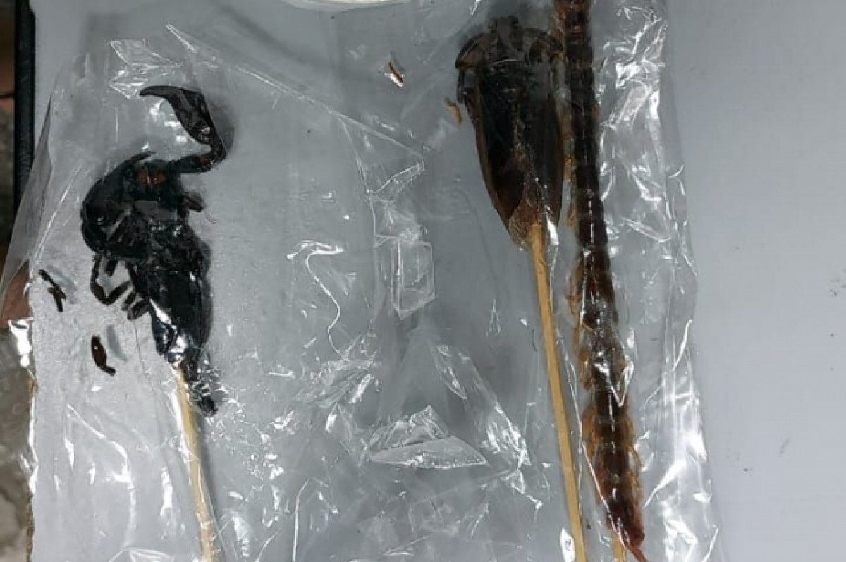    Шашлычки из скорпиона.