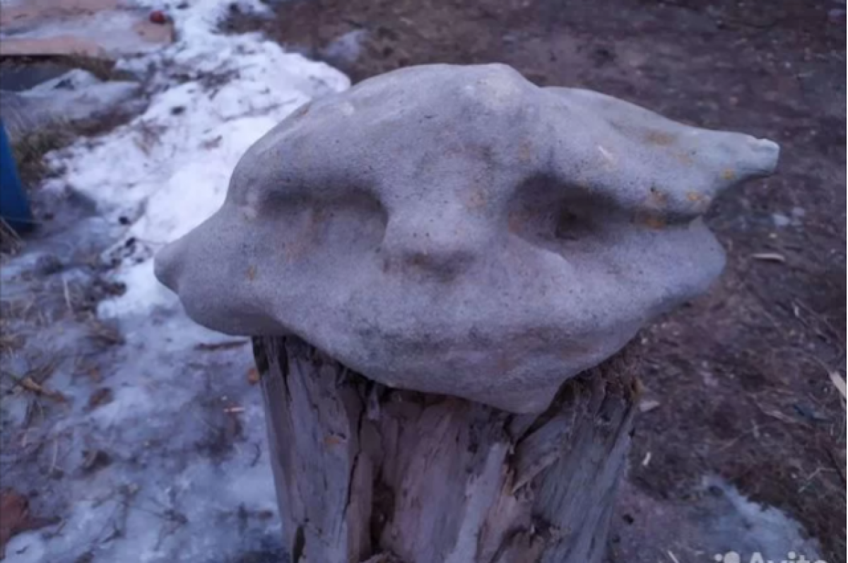    На камень с лицом по цене коттеджа пока не нашлось покупателя в Волгограде