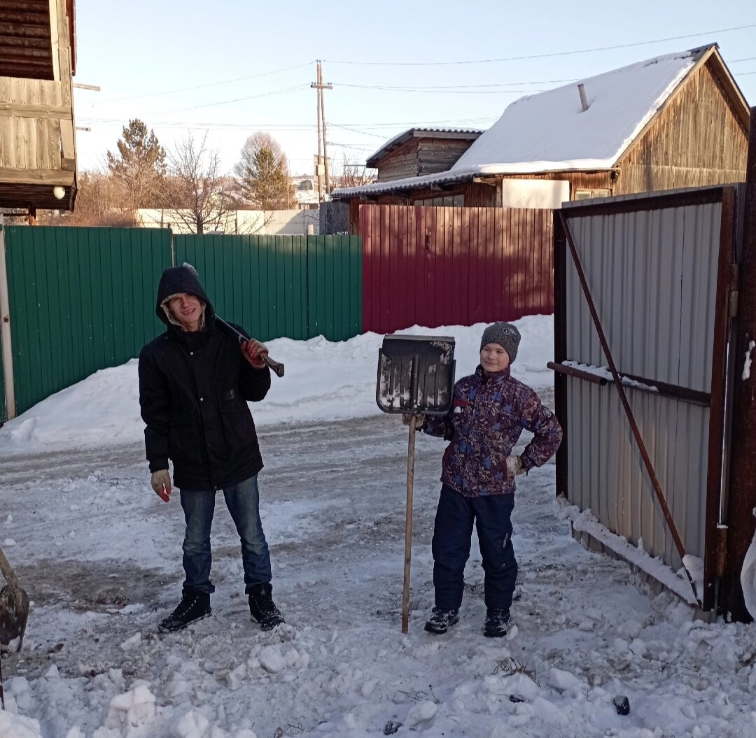 Это очень грустная история о том, как я осталась одна в доме с тремя  детьми. | Безумные птиценутые | Дзен