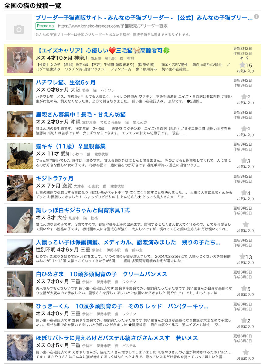 Страница сайта с котиками