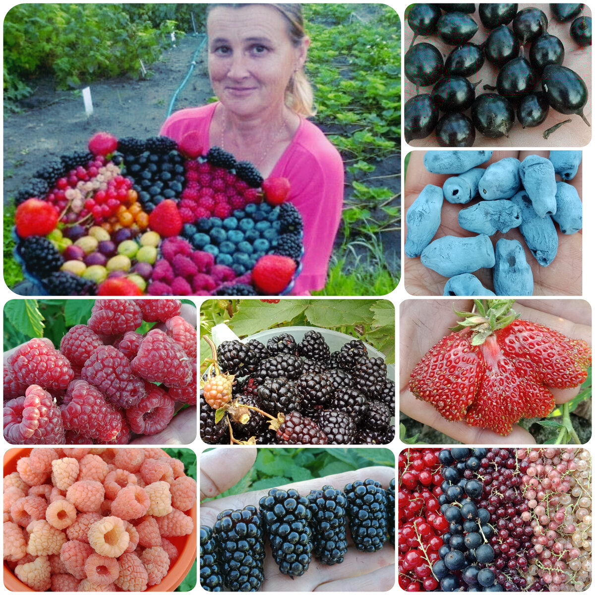 А это я и мои урожаи всего того, что предлагаем к продаже саженцев.