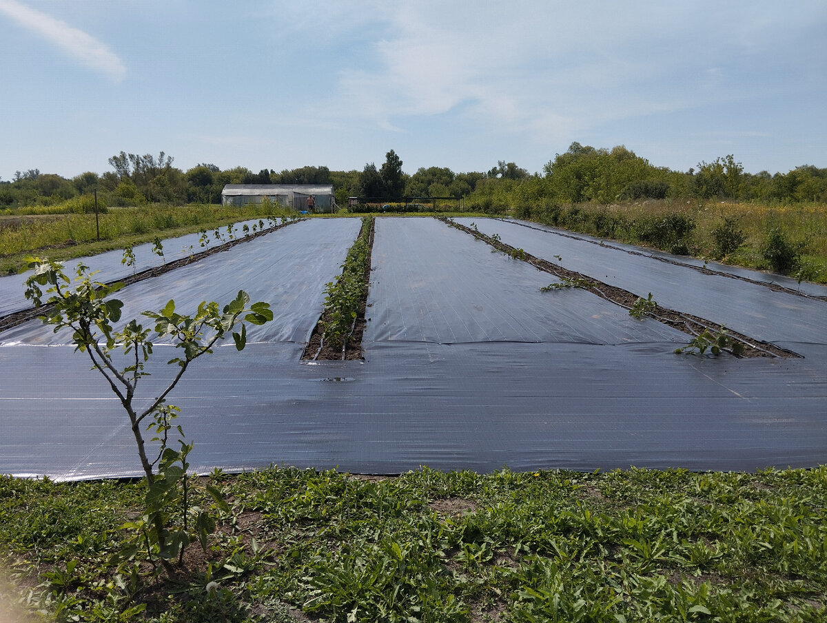 78 соток счастья.