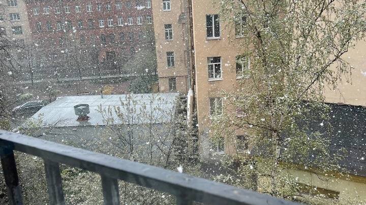 ФОТО: ЦАРЬГРАД