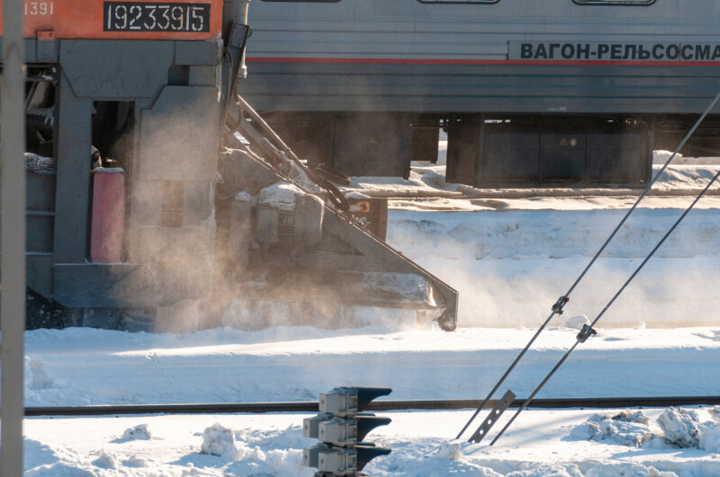 Фото: Svetlana Vozmilova\Global Look Press