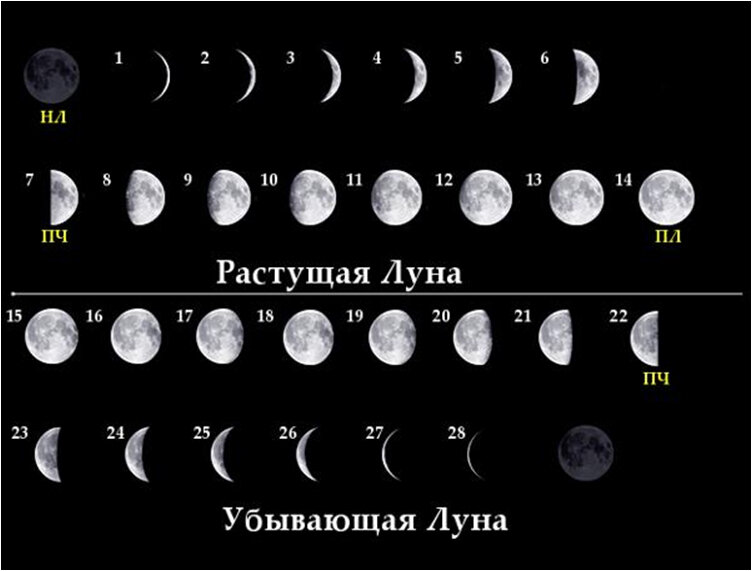 Как делать 10 в месяц. Расьцщая и Цбывающая лцна. Фазы Луны. Растущая и убывающая Луна. Фаза Луны сейчас.