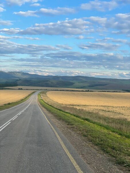 Дорога Алейск-Чарышское